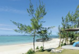 ANSE ALLY